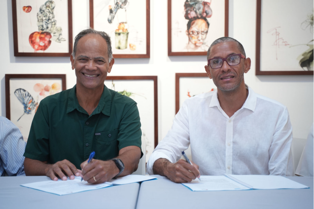 Firma don david