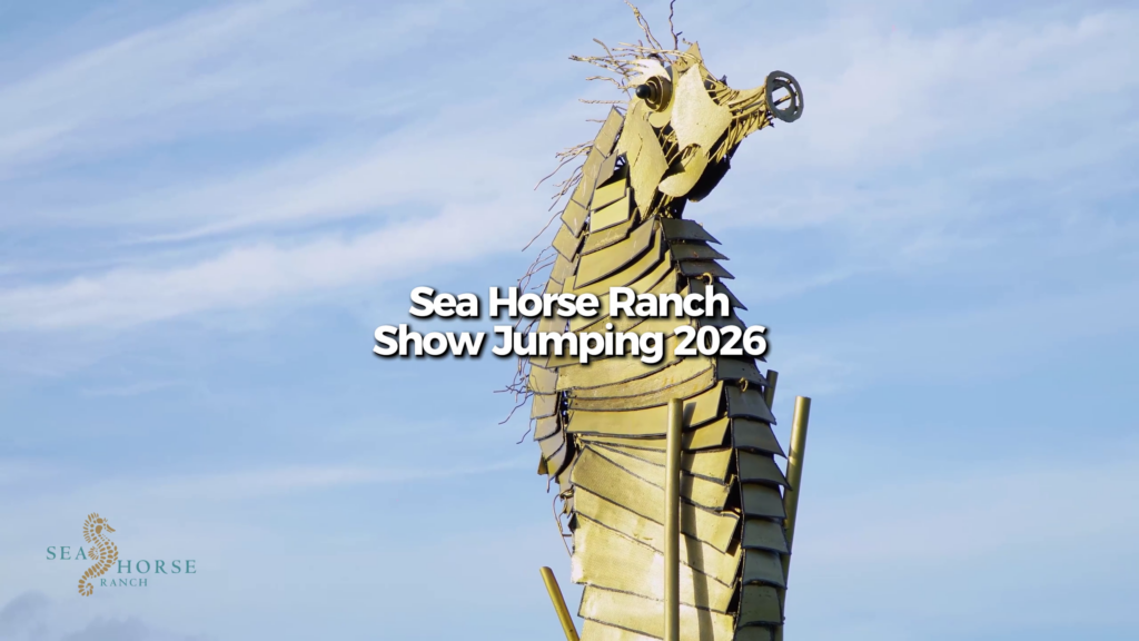 vlcsnap 2026 04 09 09h35m21s562