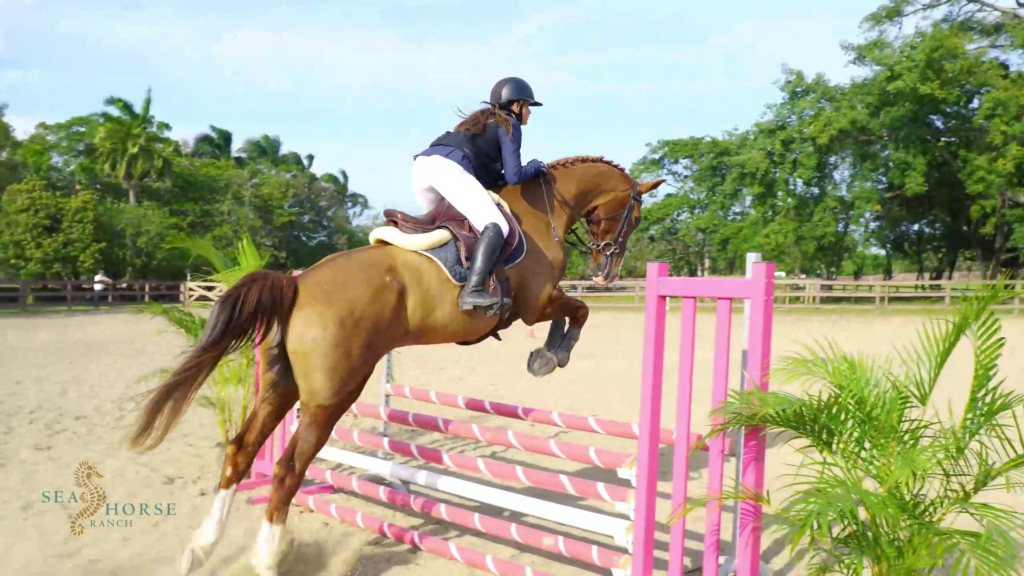 vlcsnap 2026 04 09 09h36m20s375